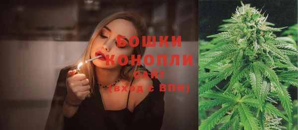 шишки Белокуриха
