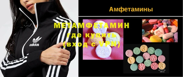 шишки Белокуриха