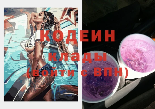 шишки Белокуриха