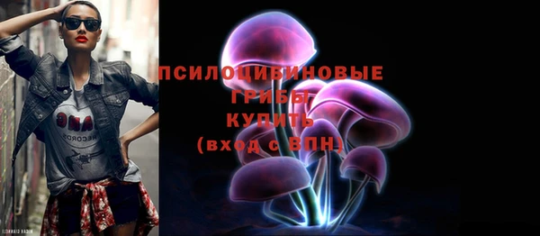 шишки Белокуриха