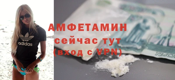 шишки Белокуриха