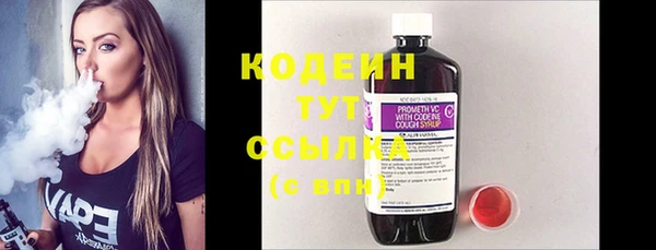 шишки Белокуриха
