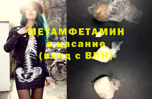 шишки Белокуриха