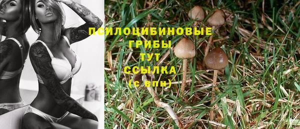 дурь Беломорск
