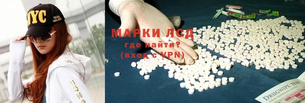 шишки Белокуриха