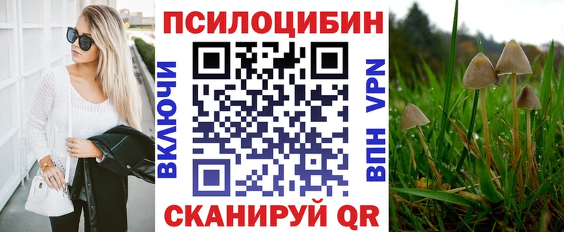 Псилоцибиновые грибы Psilocybe  МЕГА   Краснознаменск  магазин продажи  